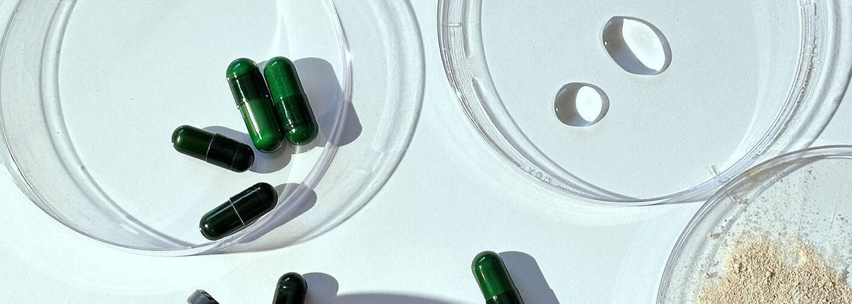 Ontdek de kracht van GLP-1: een natuurlijke bondgenoot tegen suikercravings - Insentials