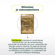 Fat Burner - Insentials