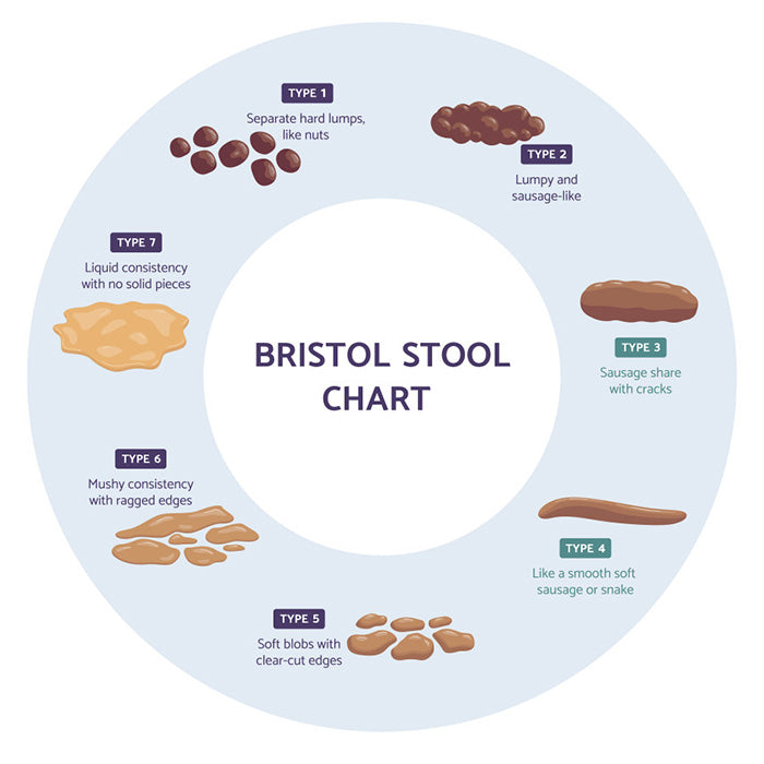De Bristol Stool Chart voor de consistentie van de stoelgang