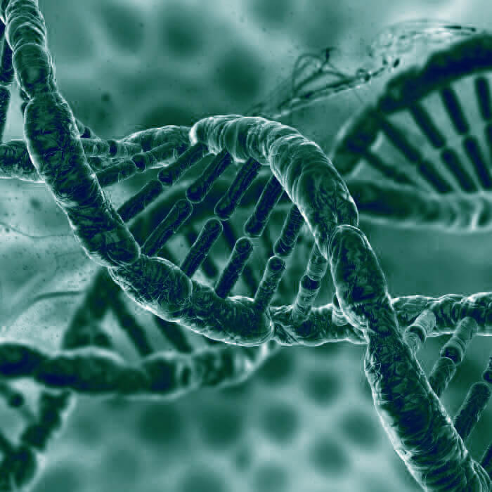 Dna herstel ndah