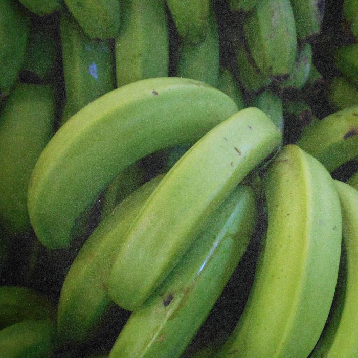 green banana prebiotics