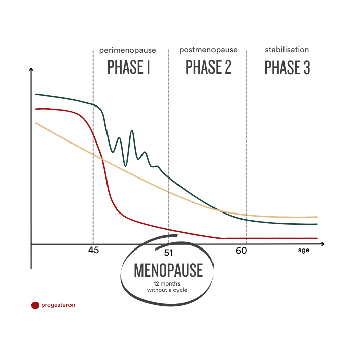 Meno Move - Insentials