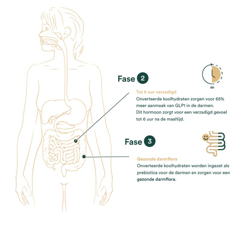 Supplements meer verzadigingshormoon glp1