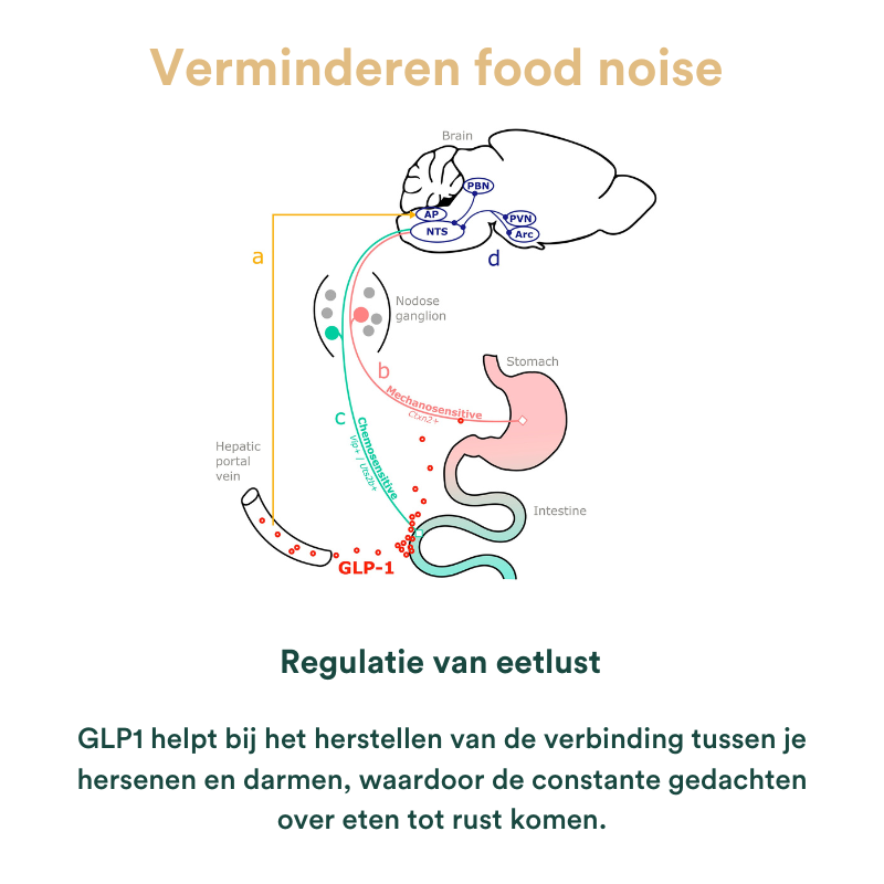 Supplements glp1 foodnoise