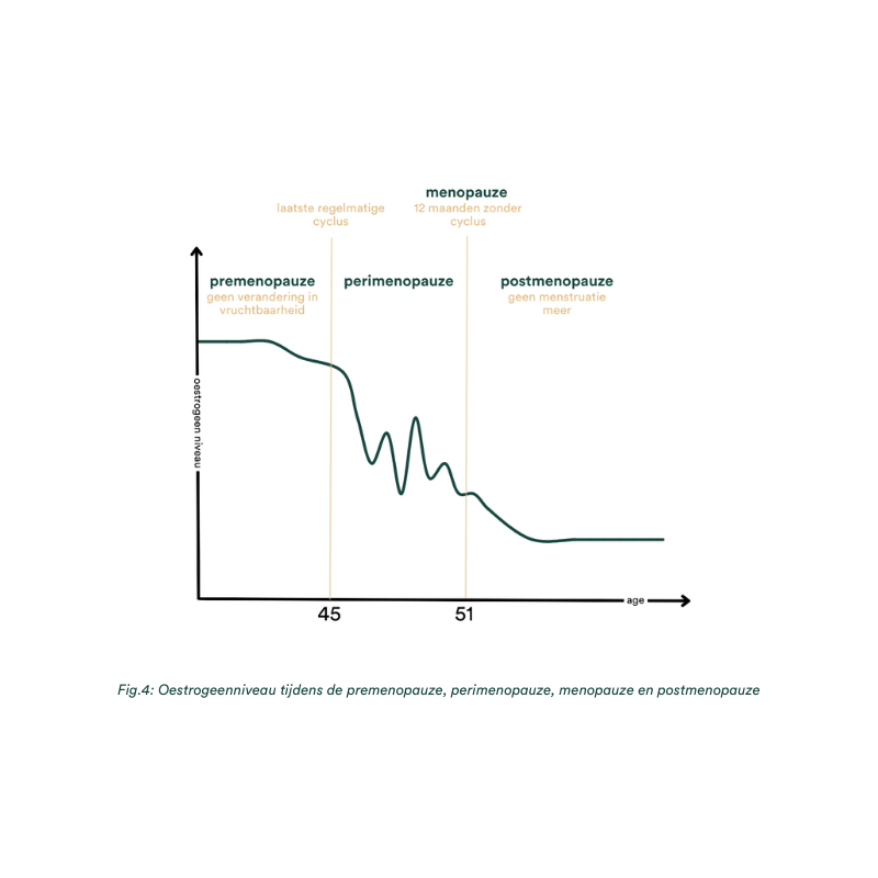Oestrogeenniveau premenopauze perimenopauze menopauze insentials