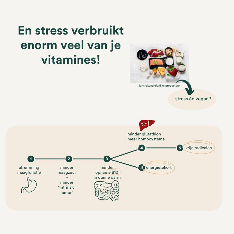 Stress en voeding